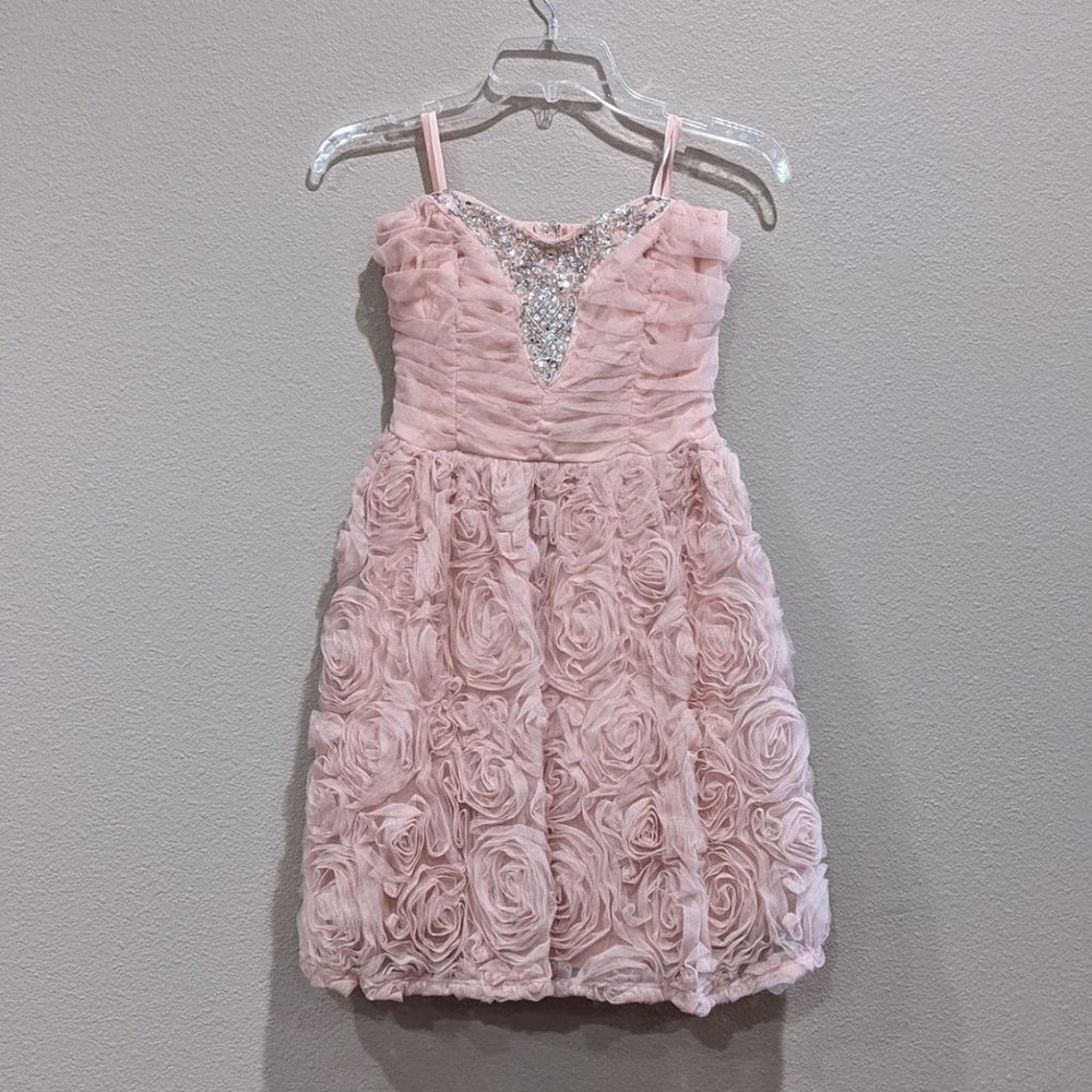 NWT - Trixxi Soft Pink Beaded Rose Cocktail Dress